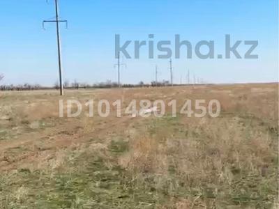 Жер телімі · 1500 га, Ұзынағаш, бағасы: 295 млн ₸ в Узынагаш