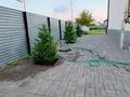 Жеке үй · 6 бөлме · 290 м² · 10 жүзд., Алаш — Желтоксан, бағасы: 105 млн ₸ в Косшы — фото 21