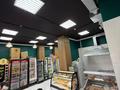 Еркін, кеңселер, дүкендер мен бутиктер, қоғамдық тамақтану орны, сұлулық салондары, медорталықтар мен дәріханалар, білім орталықтары, ойын-сауық · 127 м², бағасы: 90 млн ₸ в Астане, Сарайшык р-н — фото 6