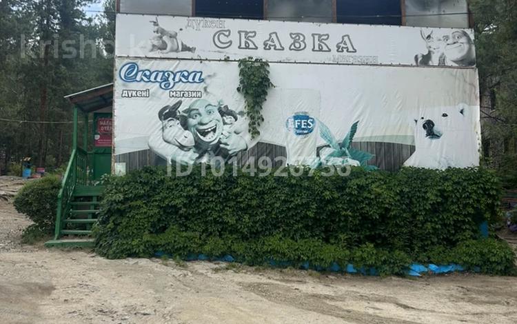 Монша, қонақ үй және демалыс орындары · 1000 м², бағасы: 125 млн ₸ в Новой бухтарме — фото 2