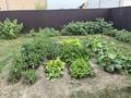 Жеке үй · 4 бөлме · 145 м² · 8 жүзд., Мкр Курылысшы, Акжар 18, бағасы: 51.5 млн ₸ в Кызыл ту-4 — фото 20