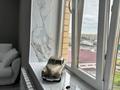 2-бөлмелі пәтер · 70.4 м² · 9/10 қабат, Нурсултана Назарбаева 288/3 — CITY MALL, бағасы: 48 млн ₸ в Петропавловске — фото 7