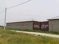 Сельское хозяйство · 117.45 м² за 20 млн ₸ в Шубарсу — фото 12