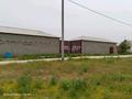 Сельское хозяйство · 117.45 м² за 20 млн ₸ в Шубарсу — фото 13