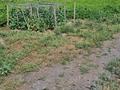 Жеке үй · 6 бөлме · 120 м² · 20 жүзд., Ул.Бухар-Жырау, 10, бағасы: 11 млн ₸ в Ботакаре — фото 3