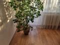3-бөлмелі пәтер · 57 м² · 5/5 қабат, 1 микрорайон 6, бағасы: 19.5 млн ₸ в Семее — фото 13
