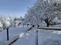 Отдельный дом · 7 комнат · 337.3 м² · 18 сот., мкр Каменское плато, С/т Улар 59 — Ладушкина за 320 млн ₸ в Алматы, Медеуский р-н — фото 31