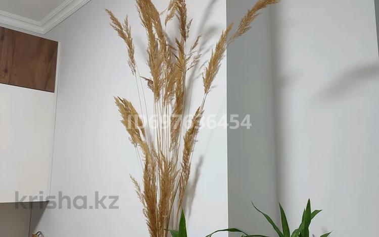 2-бөлмелі пәтер · 58 м² · 4/7 қабат, Розыбакиева 310а — Верхняя Мега, бағасы: 31 000 ₸ в Алматы, Бостандыкский р-н — фото 26