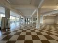 Свободное назначение · 300 м² за 750 000 ₸ в Шымкенте, Туран р-н — фото 5