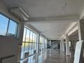Свободное назначение · 300 м² за 750 000 ₸ в Шымкенте, Туран р-н — фото 6