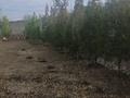 Отдельный дом · 4 комнаты · 122.6 м² · 10 сот., мкр Достык , Жакут 55 — Вдоль Алматинской трассы, Экопарк за 65 млн ₸ в Шымкенте, Абайский р-н — фото 10
