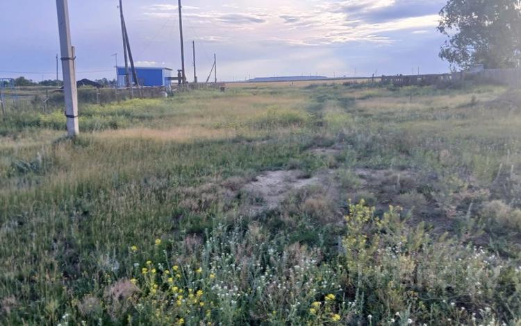 Жер телімі · 0.07 га, С. Васильковка, ул. Мектеп 15, бағасы: 915 850 ₸ в Акмолинской обл. — фото 2