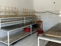 Свободное назначение · 11111 м² за 255 млн ₸ в Сарыагаш — фото 6