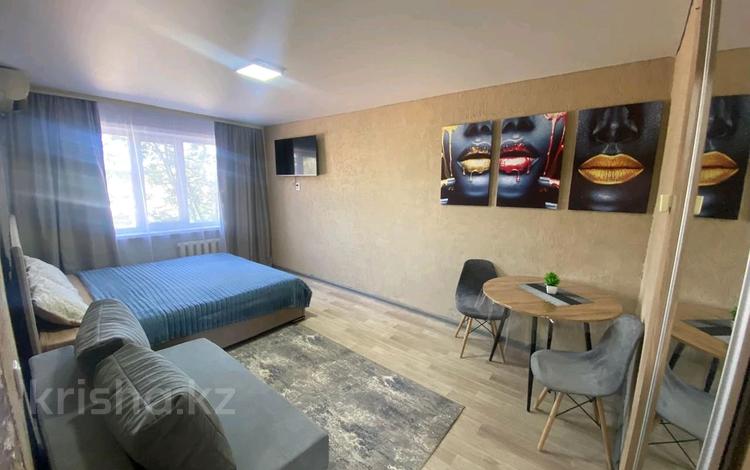 1-комнатная квартира · 31 м² · 2/5 этаж, Сабитовой 23а — УДАЛЁННОЕ заселениие, вокзал, кафе Хато,главный въезд в город Балхаш за 10 000 〒 — фото 36
