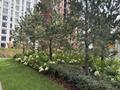 2-бөлмелі пәтер · 70 м² · 7/12 қабат, Турар Рыскулов 22a, бағасы: 55 млн ₸ в Астане, Есильский р-н — фото 9
