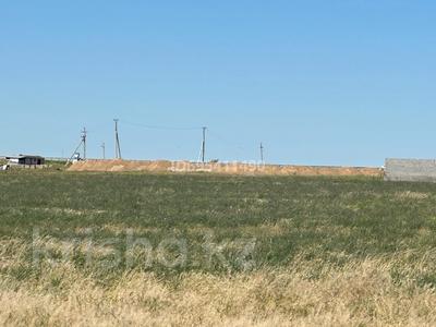 Жер телімі · 1 га, Шубарсу, бағасы: 32 млн ₸