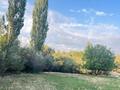 Жер телімі · 1 га, Мерей 33 А, бағасы: 100 млн ₸ в  — фото 5