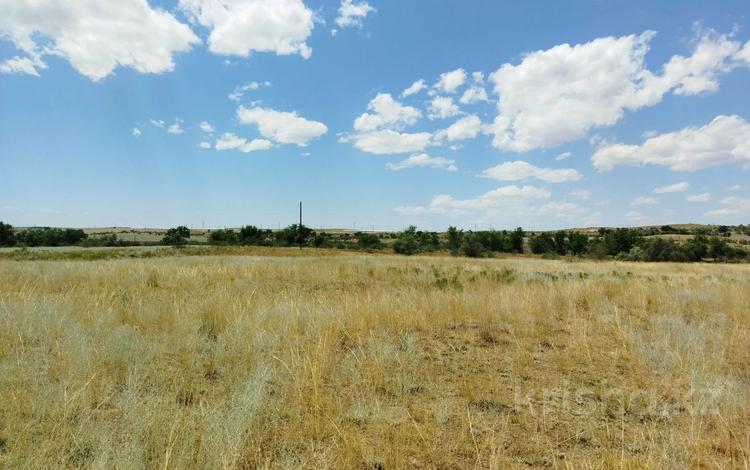 Жер телімі · 8 га, Арна, бағасы: 120 млн ₸ — фото 2