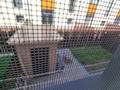5-бөлмелі пәтер · 150 м² · 2 қабат, ул. Гапеева 1/9, бағасы: 95.5 млн ₸ в Караганде — фото 11