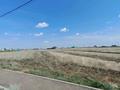 Участок · 11.75 соток, Достык 419 за 3 млн ₸ в Западно-Казахстанской обл. — фото 3
