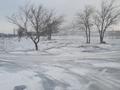 Участок · 21.48 соток, ул. Дружбы д. 1В за 14 млн ₸ в Экибастузе — фото 3