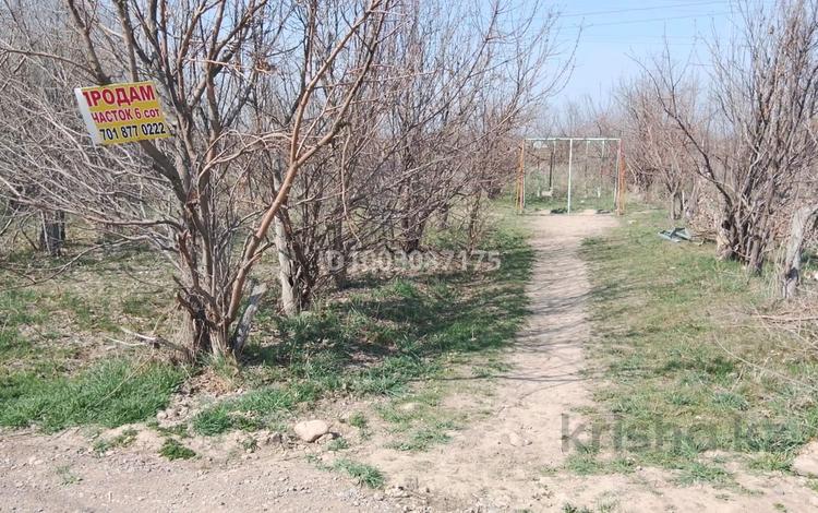 Жер телімі · 6 сотық, Шалқар, бағасы: 6.5 млн ₸ в Шалкар — фото 2