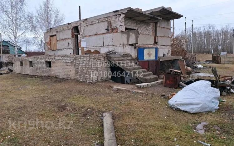 Жер телімі · 10 сотық, Ипподромная 1 — Целинная, бағасы: 8 млн ₸ в Бишкуле (Бесколь) — фото 2