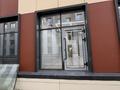 Еркін · 140 м², бағасы: 1 млн ₸ в Астане, Алматы р-н — фото 19