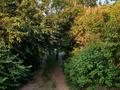 Дача · 2 комнаты · 30 м² · 6.2 сот., Калдоякова 58 — ПК Зеленая Роща, ул. Вишневая,20. Нажимеденов/Колдоякова. Новый вокзал за 65 млн ₸ в Астане, Сарайшык р-н — фото 10