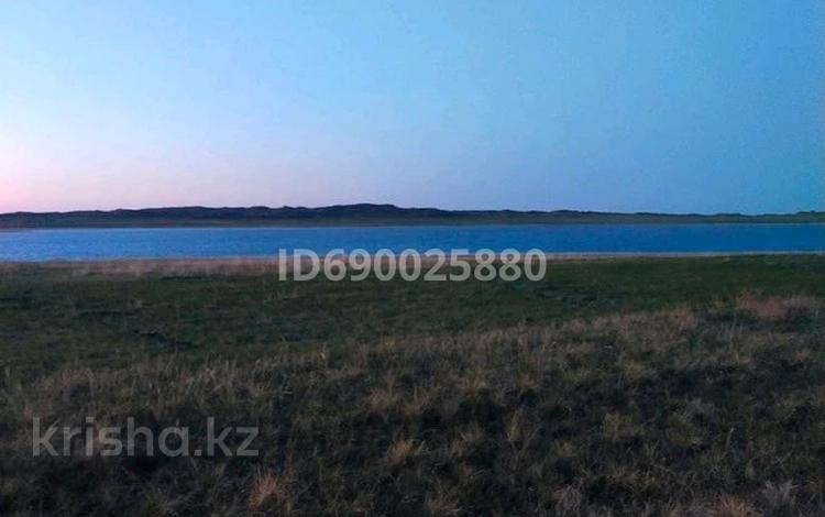 Участок · 5000 га, Ерейментау за 35 млн ₸ — фото 2