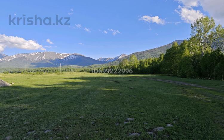 Участок · 1.2 га, 0,5 км от Катона за 29 млн 〒 в  — фото 11