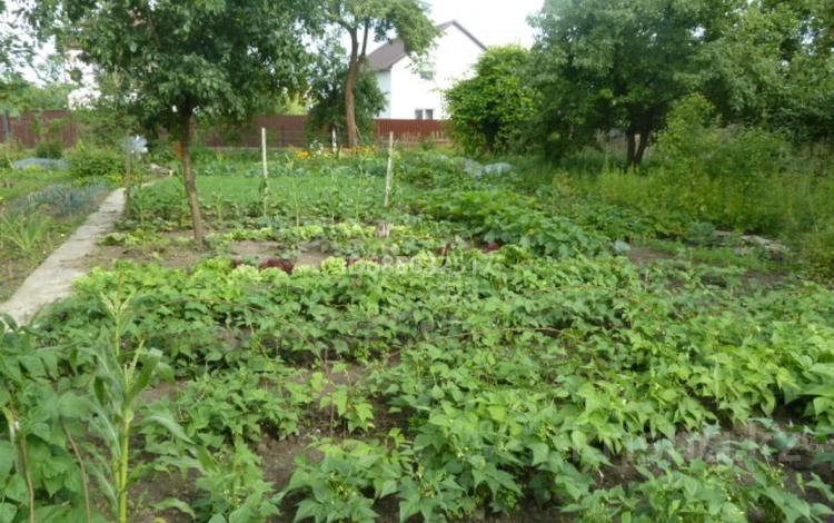 Участок · 10 соток, Таскала 1 за 4 млн 〒 — фото 8