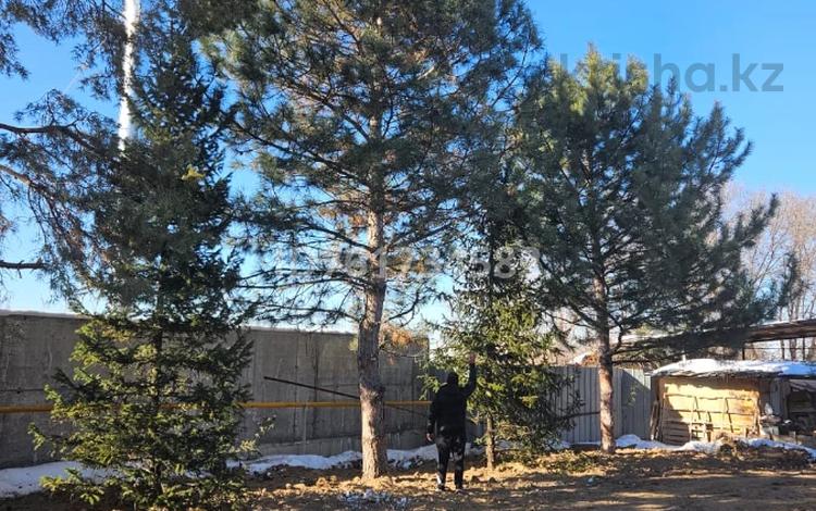 Участок · 25.3 сотки, мкр Юбилейный за 650 млн 〒 в Алматы, Медеуский р-н — фото 2