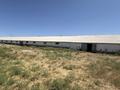 Сельское хозяйство · 1260 м² за 50 млн ₸ в Туркестанской обл., Шаян — фото 20