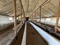 Сельское хозяйство · 1260 м² за 50 млн ₸ в Туркестанской обл., Шаян — фото 21