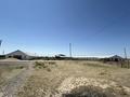 Сельское хозяйство · 1260 м² за 50 млн ₸ в Туркестанской обл., Шаян — фото 26