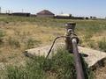 Сельское хозяйство · 1260 м² за 50 млн ₸ в Туркестанской обл., Шаян — фото 5