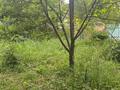Жеке үй · 3 бөлме · 50 м² · 15 жүзд., Первомайская 86 — Водоканал, бағасы: 6 млн ₸ в Серебрянске — фото 29