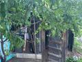 Жеке үй · 3 бөлме · 50 м² · 15 жүзд., Первомайская 86 — Водоканал, бағасы: 6 млн ₸ в Серебрянске — фото 9
