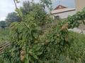 Жеке үй · 5 бөлме · 120 м² · 10 сот., Переулок Орынкулова 16 — Балық Таланттын артында, бағасы: 18 млн ₸ в Сарыкемере — фото 5