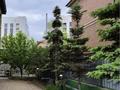 Отдельный дом · 5 комнат · 420 м² · 10 сот., Мариям Жагоркызы — КИРПИЧНЫЙ ДОМ с бассейном и садом за 450 млн ₸ в Астане — фото 17