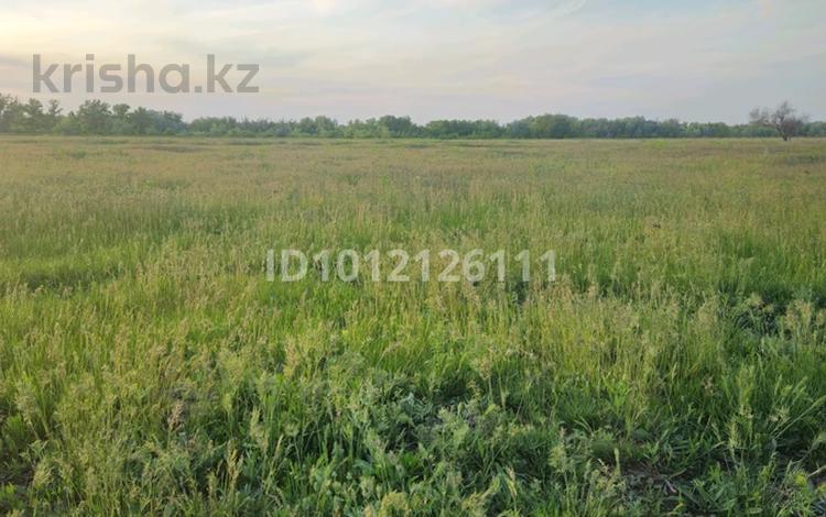Жер телімі · 25 сотық, Уральск, бағасы: 6.5 млн ₸ — фото 3