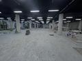 Свободное назначение · 2500 м² за 12.5 млн ₸ в Астане, Есильский р-н — фото 7