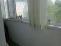 2-бөлмелі пәтер · 44.5 м² · 3/3 қабат, Сарыжайлау 12, бағасы: 11.5 млн ₸ в Актобе, жилой массив Жилянка — фото 13
