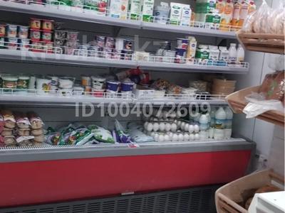 Действующий бизнес · 100 м², бағасы: 28 млн ₸ в Астане, Нура р-н