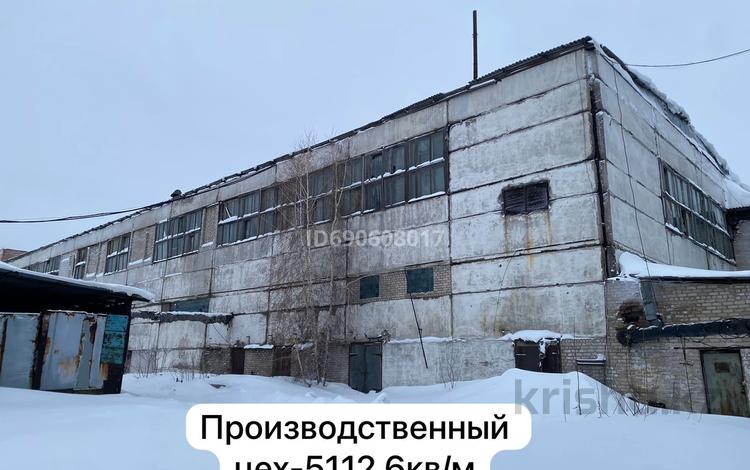 Завод 2 га, Мусерепова 27 за 1 млрд 〒 в Петропавловске — фото 21