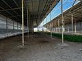 Промбаза · 30 га, Койшибек Байтерек за 600 млн ₸ в Койшыбеке — фото 32