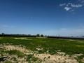 Промбаза · 30 га, Койшибек Байтерек за 600 млн ₸ в Койшыбеке — фото 9