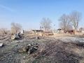 Завод · 40 соток, Байдыбек би 1 за 1 млн ₸ в Узынагаш — фото 40