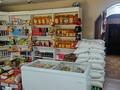 Действующий продуктовый магазин · 99 м² за 15 млн ₸ в Мамлютке — фото 16